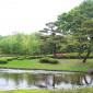 Higashi-The pond