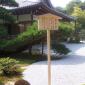 Kinkaku-ji-Old pine